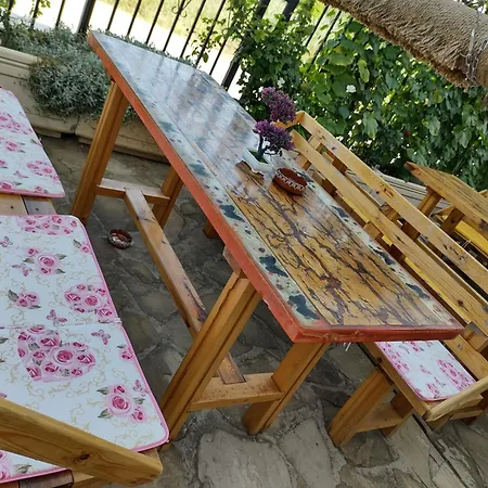 בית הארחה Altay