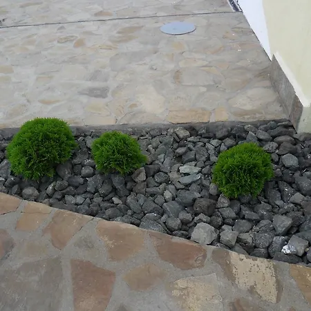 בית הארחה Altay