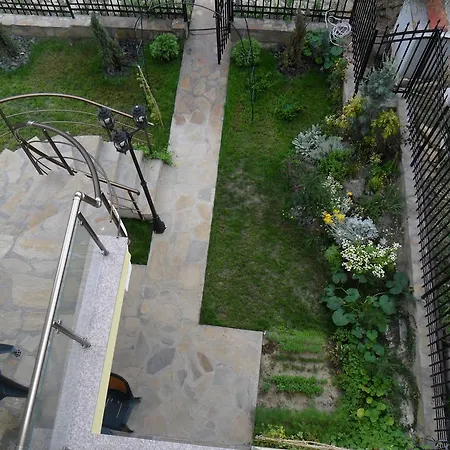 Altay בית הארחה לוזנטס