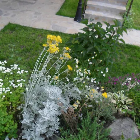 Vendégház Altay 4*