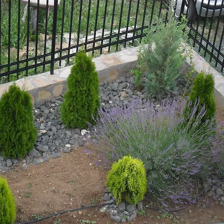 Vendégház Altay 4*