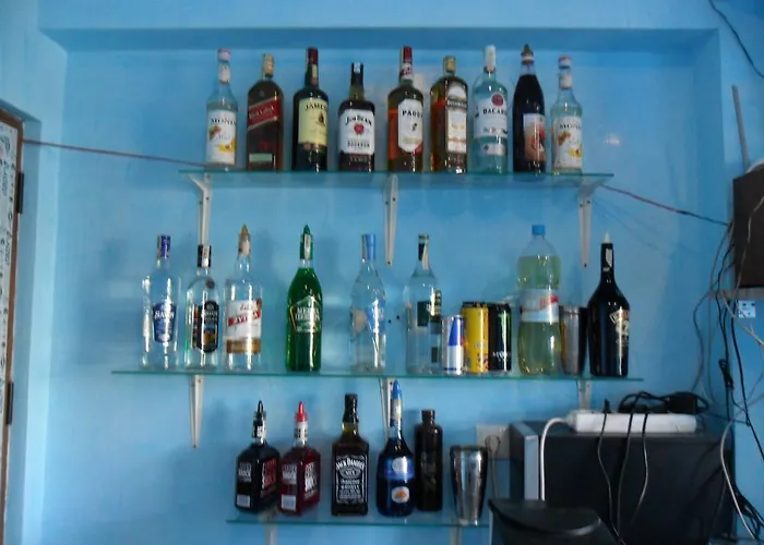 Guest house Altay 4*