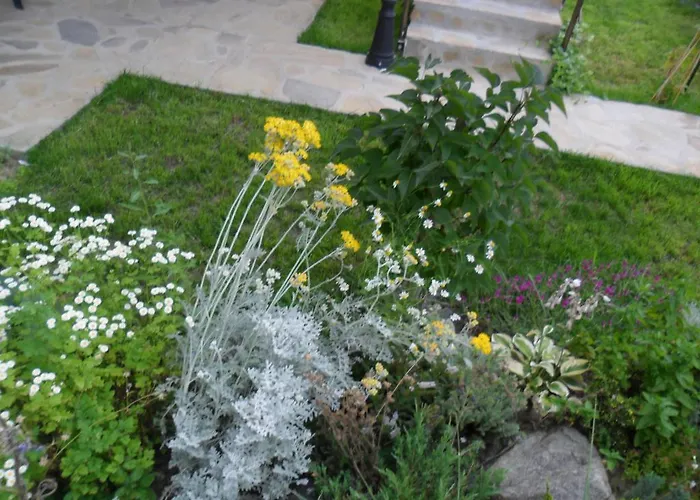 Guest house Altay 4*