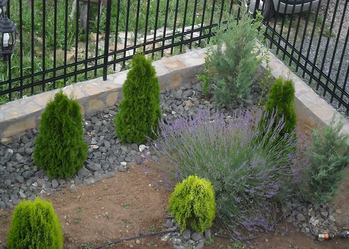 Guest house Altay 4*